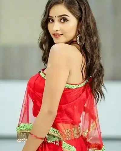 Call Girl Service in Bhadradri